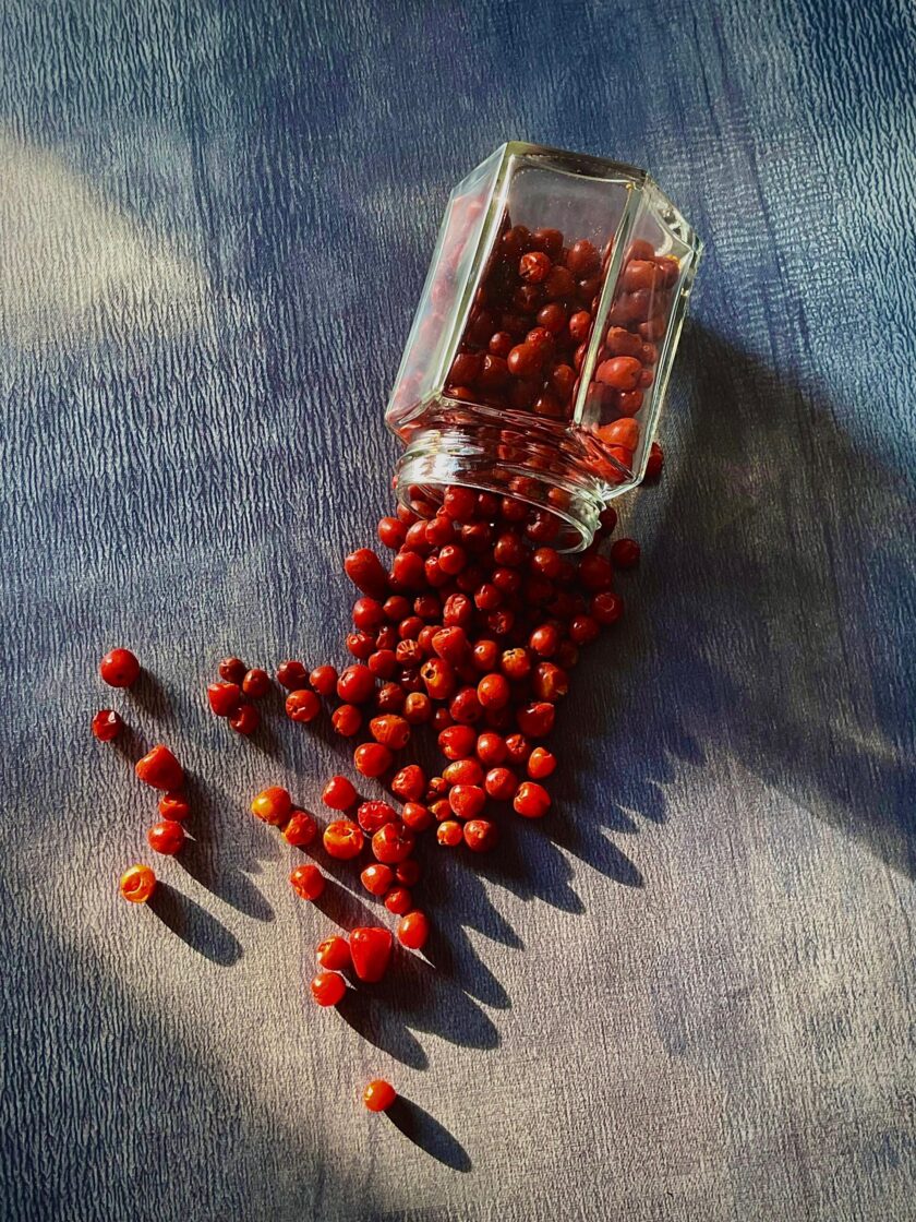Chiltepin